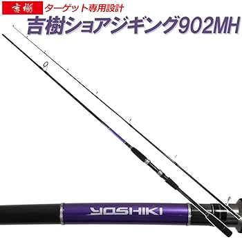 ショアジギングセット Amazon | ライトショアジギング入門 ロッド & リール 2点セット